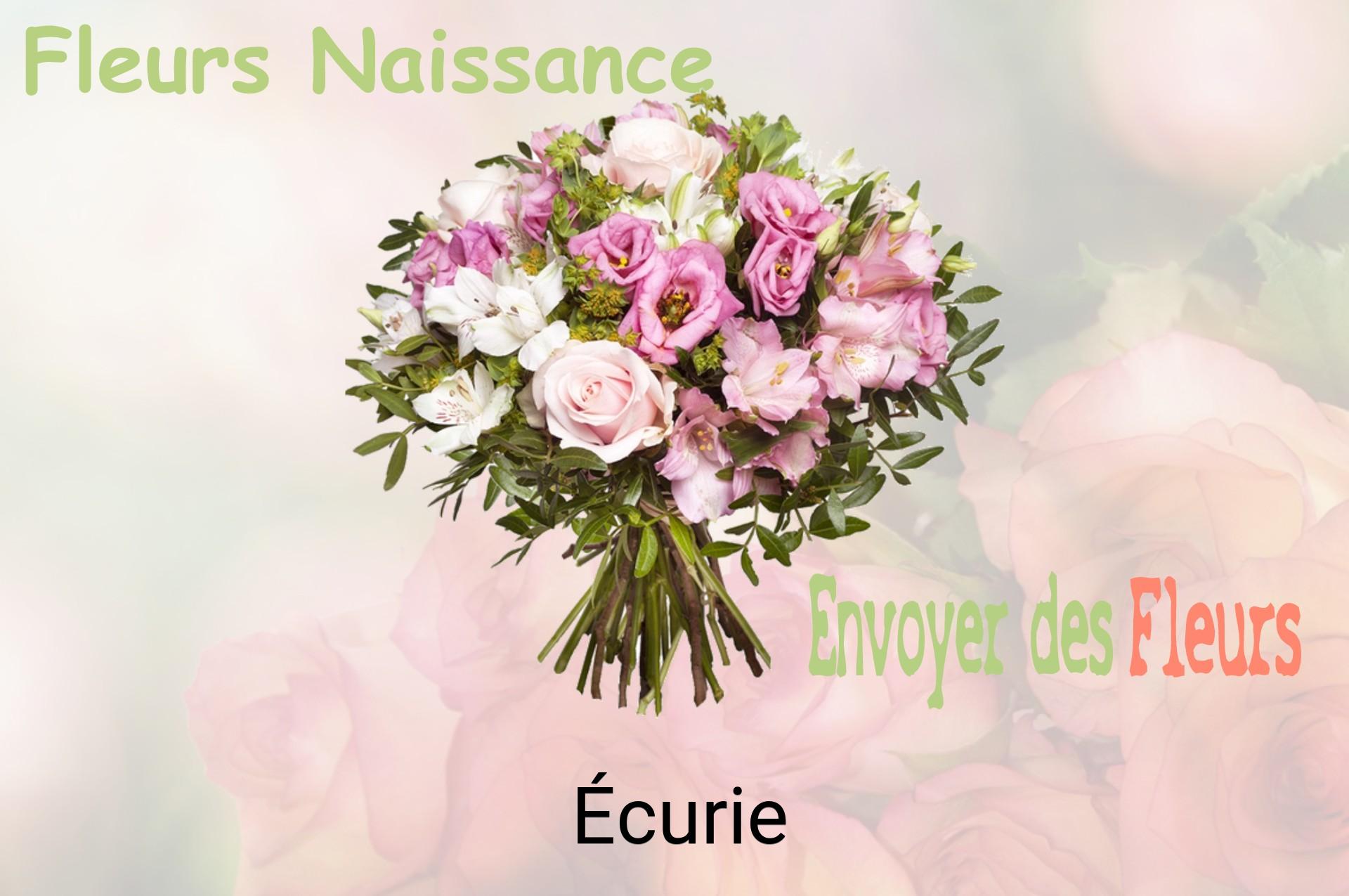 Bouquet de fleurs de naissance livré à Écurie